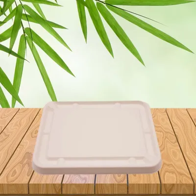 Lunchbox mit Deckel 1200 ml Zuckerrohr 125 Stück