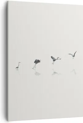 Produktbild von Bild auf Leinwand - Leinwandbild - Einteilig - Flug Vogel Reiher - 50x70cm - Wand Bild - Wanddeko - Wandbilder - Leinwanddruck - Kunstdruck - Wanddekoration - Leinwand bilder - Wandbild - PA50x70-5096