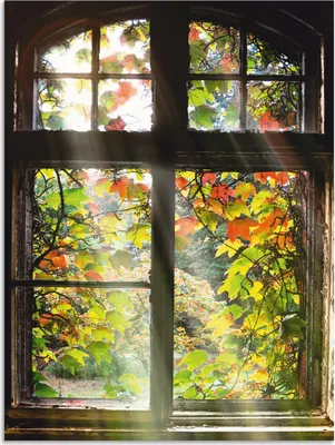 Produktbild von ARTland Wandbild Alu für Innen & Outdoor Altbau Größe: 60x80 cm