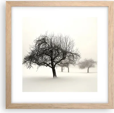 Produktbild von Gerahmtes Poster - Rahmen in heller Eiche - Bäume Schnee Nebel - 30x30 cm - Wand Bild - Wanddeko - Wandbilder - Wandposter - Bilderrahmen - Bilder - Kunstdruck - Wandbild - P2NAC30x30-4136