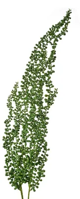 Image de Clayre & Eef Plante artificielle 77 cm Vert Plastique