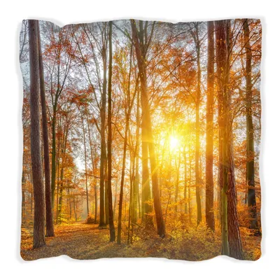 Produktbild von Wallario Premium Kissen, weiche Oberfläche, mit Motiv Sonnenuntergang im herbstlichen Wald, Größe: 40 x 40 cm, mit weißer Rückseite