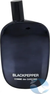 Produktbild von COMME DES GARÇONS Blackpepper  Eau de Parfum 100ml : 100ml