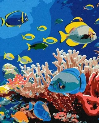 Image de Peinture par numéros - La vie sous-marine 40 x 50 cm - Ideyka