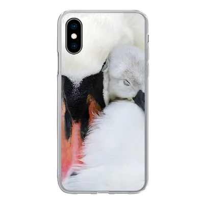Produktbild von MuchoWow® Handyhülle Schutzhülle Hülle für iPhone X Nahaufnahme eines Schwans mit Jungen Silikon Softcase Handy Hülle - Handyhülle