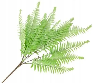 Produktbild von Domosfera Künstliche Farn-Zweig Grün 50cm für Dekoration