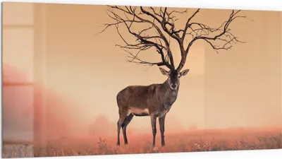Produktbild von DEQORI Küchenrückwand Glas 100x50 cm 'Zauberwaldhirsch' Spritzschutz Bad Rückwand Küche