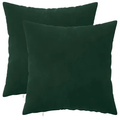 Image de vidaXL Coussins décoratifs HEERLEN, lot de 2, vert foncé, velours