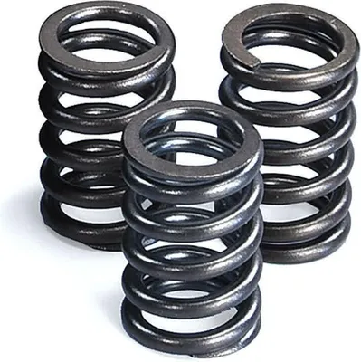Image de POLINI ressorts de soupapes 3 pièces pour Piaggio 50 3V E5