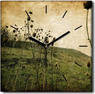 Produktbild von Coloray Uhr auf Leinwand 30x30 cm Wand Uhr Dekoration Wohnzimmer Segeltuch schwarze Hände -Wiese blüht Natur.