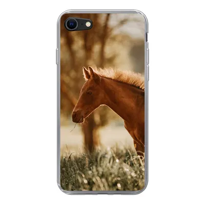 Produktbild von MuchoWow® Handyhülle Schutzhülle Hülle für iPhone 7 Pferd - Licht - Wiese Silikon Softcase Handy Hülle - Kartenhalter