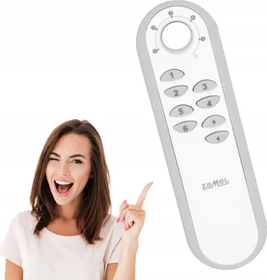 Produktbild von 36-Kanal-Fernbedienung P-456/36 Exta Life Zamel Smart Home
