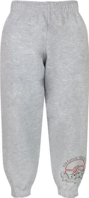 Produktbild von Pokemon - "Trainer Academy" Jogginghosen für Jungen NS6355 (164) (Grau)
