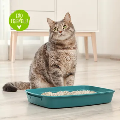 Immagine prodotto di Lettiera per gatti a base di tofu, agglomerante, vegetale, 10 litri, assorbe gli odori, ideale per la lettiera dei gatti