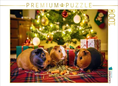 Produktbild von CALVENDO Puzzle Unterm Weihnachtsbaum | 1000 Teile Lege-Größe 64x48cm Foto-Puzzle für glückliche Stunden