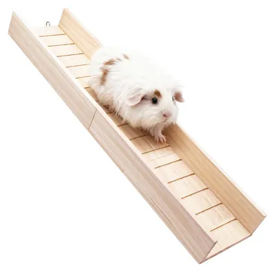 Produktbild von Holz-Kletterrampe für Meerschweinchen und kleine Tiere - 60x17x7 cm