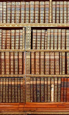 Produktbild von Fototapete - Library 150x250cm - Vliestapete
