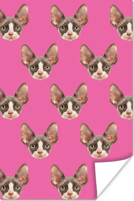 Produktbild von MuchoWow® Poster Katze - Rosa - Muster 120x180 cm - Kunstposter