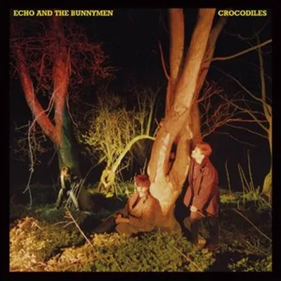 Produktbild von Crocodiles