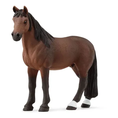 Image de SCHLEICH SLH Tenessee horse 72180 21708