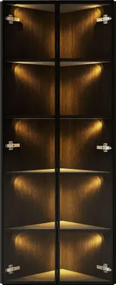 Produktbild von Merax Glasvitrine mit LED Licht, Eckvitrine Hochschrank mit Zwei Glastüren, Stehend Vitrinenschrank, Badezimmerschrank, 62x35x160cm, Schwarz