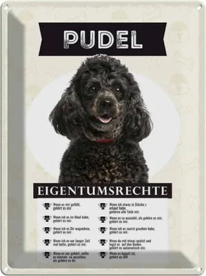 Produktbild von vianmo Blechschild 40x30 cm Pudel Eigentumsrechte Tier Haustier Hund