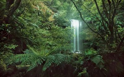 Produktbild von Sanders & Sanders Fototapete Dschungel Grün 450 x 280 cm