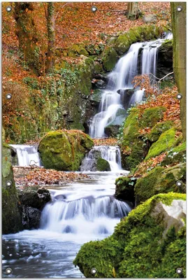 Produktbild von Wallario Outdoor-Poster für Garten oder Balkon, Motiv Bach im Wald, in ca. 80 x 120 cm