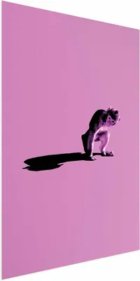 Produktbild von Posterpapier Poster - Little Monkey 40x60 cm Tiere g-C-0116-ao-a