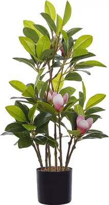 Produktbild von BELIANI Kunstpflanze Grün mit schwarzem Blumentopf aus Kunststoff 70 cm Dekoration Wohnzimmer Indoor Modern