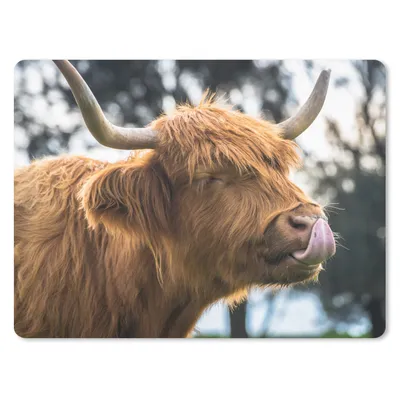 Produktbild von MuchoWow® Mauspad Mousepad Schottischer Highlander - Nase - Baum 23x19 cm - Mousepads - Maus Mat - Pad - Mausunterlage - Schreibtischunterlage - Mauspad