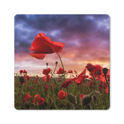 Produktbild von MuchoWow® Mauspad Mousepad Mohn - Blumenfeld - Rot 20x20 cm - Mousepads - Maus Mat - Pad - Mausunterlage - Desk Mat - Bureauartikeln
