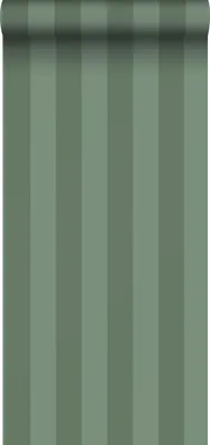 Zdjęcie produktu dla Sanders & Sanders Tapeta paski zielonym 50 x 900 cm