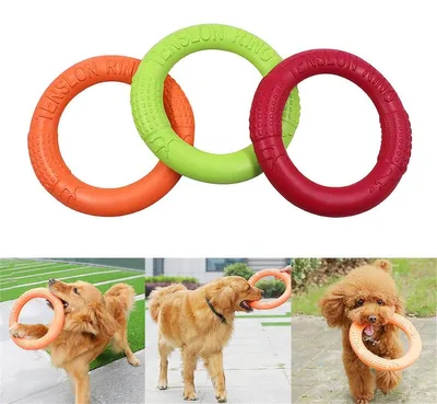 Image de Disque volant pour chiens - Jouet interactif pour l'extérieur