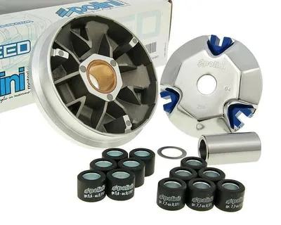Produktbild von Variomatik Polini Hi-Speed für PGO Big Max