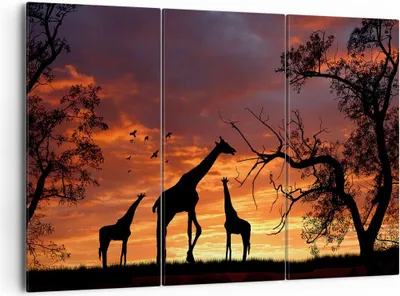 Produktbild von Bild auf Leinwand - Leinwandbild - Giraffe Afrika Sonne Safari - 165x110cm - Wand Bild - Wanddeko - Leinwanddruck - Bilder - Kunstdruck - Wanddekoration - Leinwand bilder - Wandkunst - CE165x110-0507
