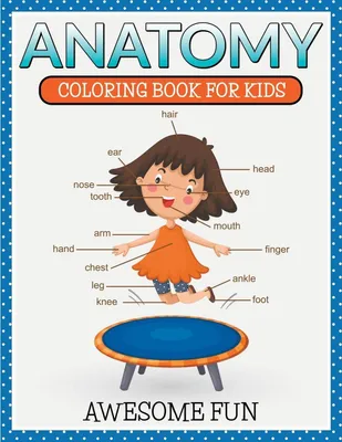 Produktbild von Anatomy