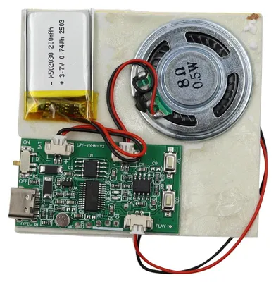 Immagine prodotto di Registratore vocale portatile con riproduzione di più registrazioni, controlli a pulsante, registratore vocale fai-da-te