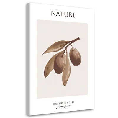 Produktbild von Leinwandbild Pflaumenfrucht – Natur 80x120 Feeby Beige bild für die wand bereit zum aufhängen