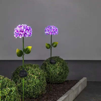 Produktbild von LED-Solarstab 'Hortensia', pink
