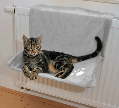 Produktbild von Silvio Design Katzen Heizkörperliege uni grau