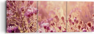 Produktbild von Bild auf Leinwand - Leinwandbild - 3 Teile - Wiese Blumen Sonne - 90x30cm - Wand Bild - Wanddeko - Wandbilder - Leinwanddruck - Bilder - Wanddekoration - Leinwand bilder - Wandbild - CA90x30-4819
