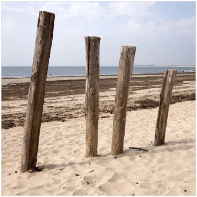 Produktbild von Wallario Premium Glasbild, freischwebende Optik, kräftige Farben, Größe 30 x 30 cm Motiv Sandstrand mit Holzpfählen am Atlantischen Ozean