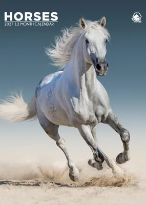 Imagen del producto de Calendario de pared A3 para caballos, año 2027, con fotografías majestuosas
