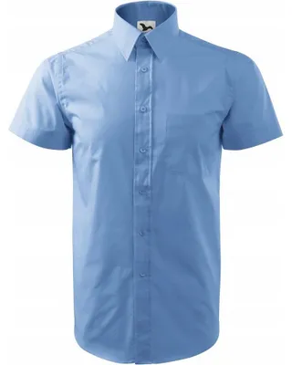 Imagen del producto de Malfini - Camisa "Chic" para hombre, modelo PP11464 (Talla L) (Azul)