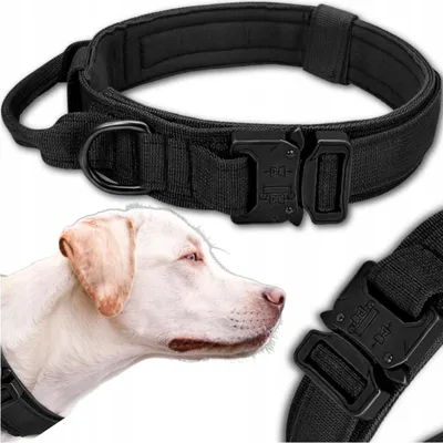 Produktbild von EDIBAZZAR | Taktisches Hundehalsband, stark, verstellbar, Halsbandhalter für Polizeihunde
