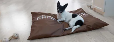 Produktbild von XL Hundekissen Hundebett Schlafplatz Hundematte Tierbett Katzenbett 70x100 cm braun