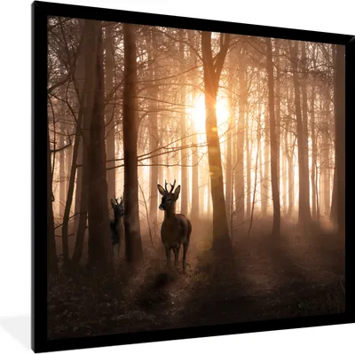 Produktbild von MuchoWow® Gerahmtes Poster Wald - Hirsche - Sonne - Bäume - Winter - Natur - Tiere 40x40 cm - Poster mit Schwarzem Bilderrahmen Wandposter Rahmen Foto Bilder - Mit Rahmen - Wanddekoration Schlafzimmer