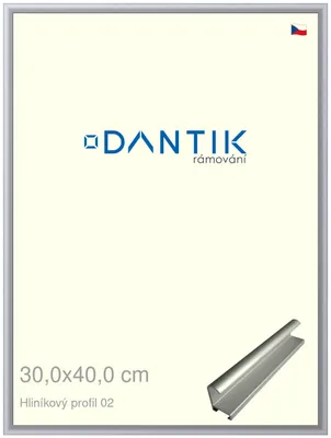 Zdjęcie produktu dla Rama DANTIK 30x40 | Profil ALU 7002 Srebrny mat (Plexi Clear)