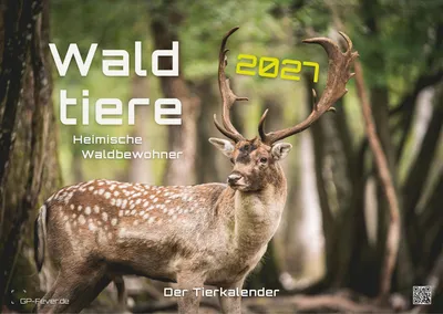 Produktbild von Waldtiere - Heimische Waldbewohner - Der Tierkalender - 2027 - Kalender DIN A3